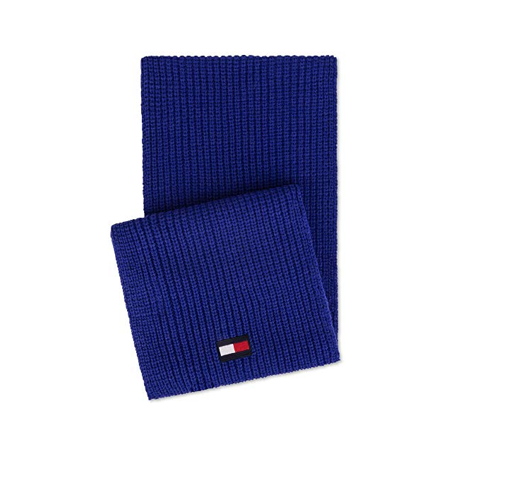 TOMMY HILFIGER Men's Logo Knit Scarf in Blue